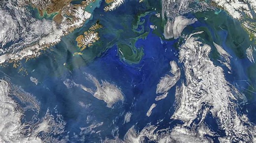 Scientists Say Gulf Stream May Be Near Collapse, Here's Why That's Dire for the Planet