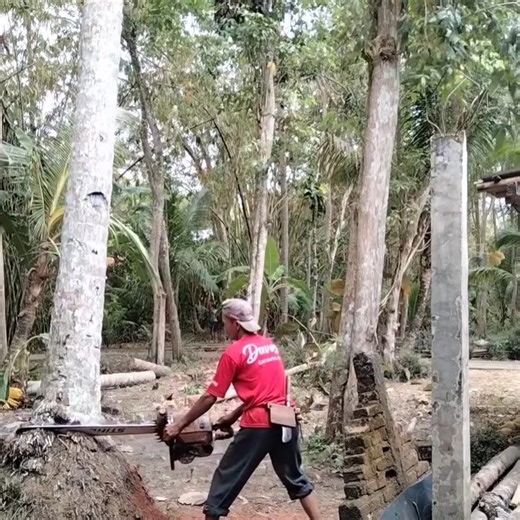 4.6M views · 10K reactions | amazing cutting skills | A Lin | Facebook