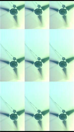 funny #fyp#youtubeshort