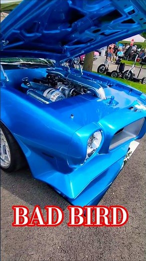 The Most BAD@$$ Pro Touring 2nd Gen Pontiac Trans Am on the Planet | NSRA Street Rod Nationals 2025