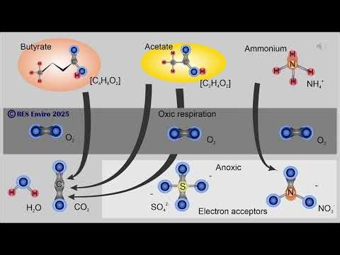 Wastewater Treatment process – Anaerobic, Anoxic and Oxic zones, bio-chemistry, and redox reactions