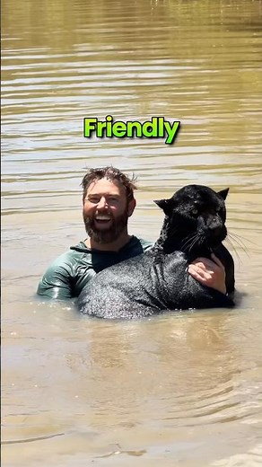 Friendly or Not Friendly?