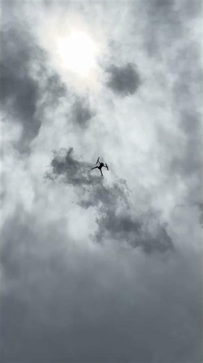 DJI drones are very easy to operate and control - DJI MINI 4 PRO