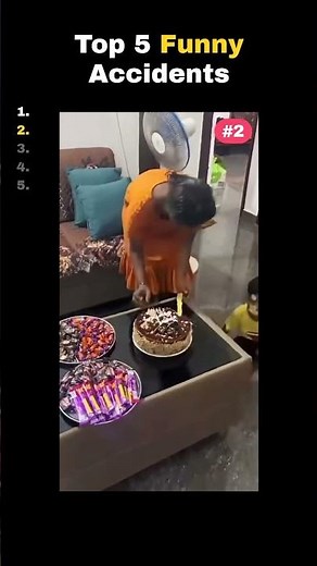 Top 5 FUNNIEST Accidents Caught on Camera 😂 #shorts #shortsvideo #funny