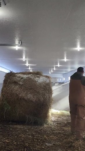 139K views · 706 reactions | 1HandnFarming on Reels | Facebook