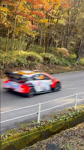 WRC ラリージャパン 2025 ハイライト