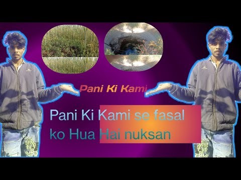 Pani ke Karan faslon mein nuksan😭 fasal acchi Nahin Hoti