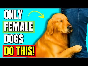 10 TOUCHING Ways Female Dogs Show Love (Males Never Do This) | Dog Behavior Explained