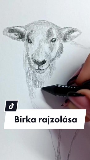 Birka Rajzolása: Lépésről Lépésre Útmutató