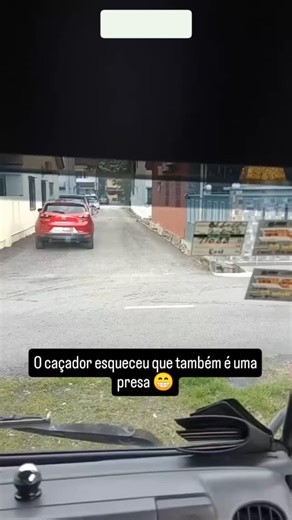 Gabriel Rosetti de Souza on Instagram: "#viralvideos #reelsviral #cachorro #cachorros #gatosfofos #gatos #gato #pomba"