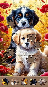 Jigsaw Puzzles & Story is not only a puzzle game, but also a visual...