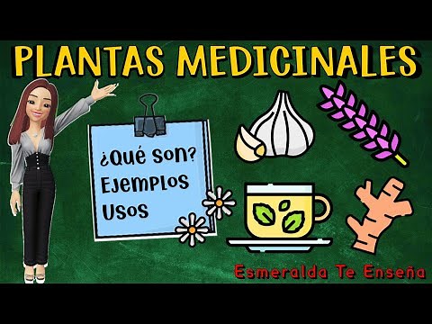 🌱Las Plantas Medicinales🍃