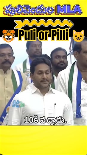 జగన్ & కో అసెంబ్లీకి హాజరు, 11 నిమిషాలలో పరారు #ysjagan #revanthreddy #tdp #cbn #naralokesh #YSRCP