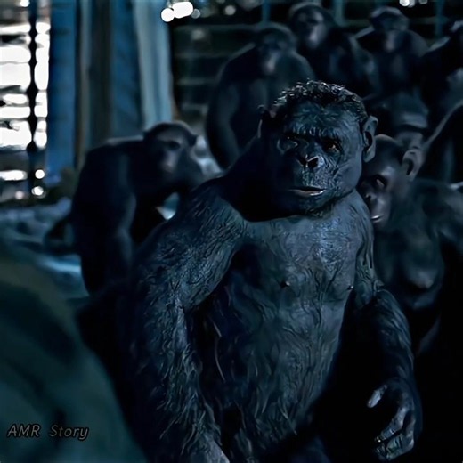 The Apes Fooled the Soldier and Escaped 😂🔥 | Planet of the Apes #Shorts