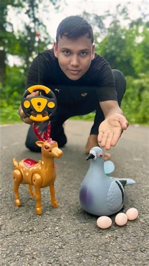 Agg Wla Pigeon Birds And Rc Sika Raindeer Unboxing 🎁