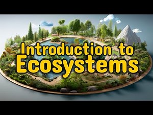 Ecosystems Explained: Types and Interactions in Nature