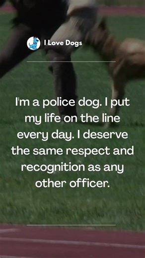 595K views · 79K reactions | As a police dog, every sprint, every search, and every challenge brings us closer to protecting our communities. These four-legged heroes deserve the same honor and respect as their human counterparts.  #PoliceDogs #TrueHeroes #ILoveDogs | I Love Dogs | Facebook