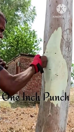 One Inch Punch Tutorial// #challenges #viralreels #target #taekwando #mma #martialarts #tutorial