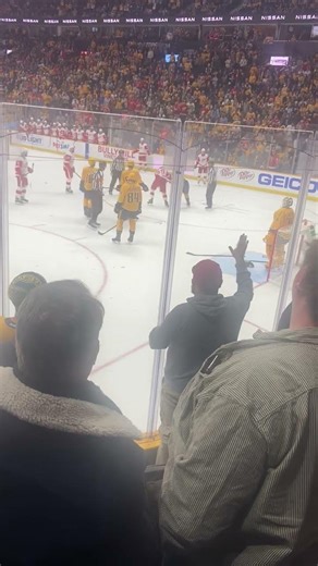 2022 preds vs wings fight