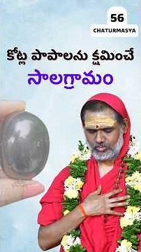 Day 56 – కోట్ల పాపాలను క్షమించే సాలగ్రామం🙏 | Salagrama Secrets EXPOSED