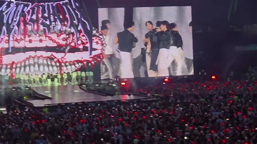 Stray Kids Live Concert Experience