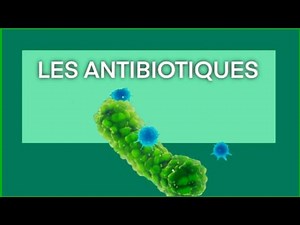 Comprendre les différentes classes d’antibiotiques / pharmacologie