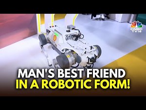 Meet Shell's Robotic Dog That Can Be Used To Reshape Industrial Development | N18V