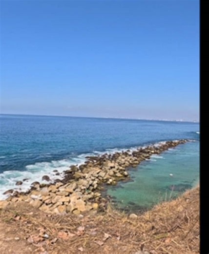 Nadando con una Mantarraya Gigante: Aventura Increíble