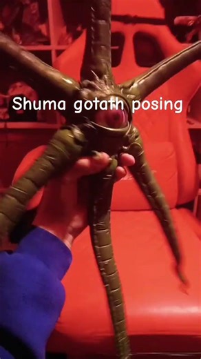 posing marvel legends shuma gorath