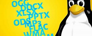 ¿Qué formatos de archivo debería usar con Linux? / Linux