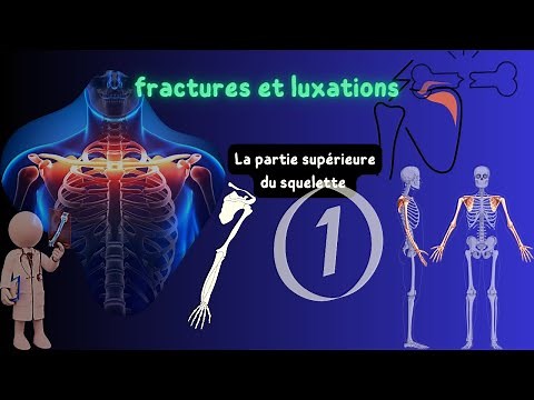 orthopédie-traumatologie (fracture de la clavicule et luxation de l’épaule