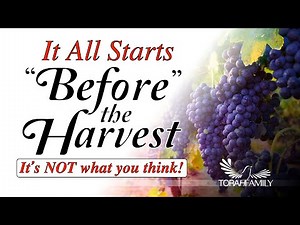 Before the Harvest - Updated and Expanded