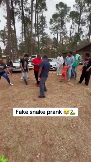 Fake Snake Prank #scareprank #funnyprank #funnymoments #sofunny #comedyvideo