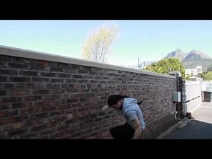 Do electric fences deter criminals?