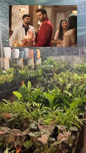 Family Garden Store, The Pot Shop. Come & Experience the collection & offers. Store: 5th Street, Hanuman Colony,Injambakkam ECR Chennai 7299073939 | The Pot Shop