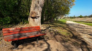 Where do the Trinity Trails go in Fort Worth?