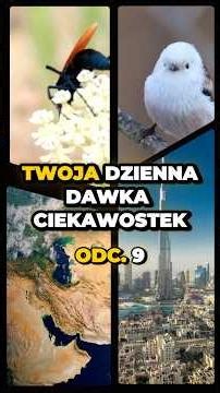 The Largest Lake, Tallest Building, and Bird of the Year. Your Daily Dose of Trivia - ep. 9😍📖🧠