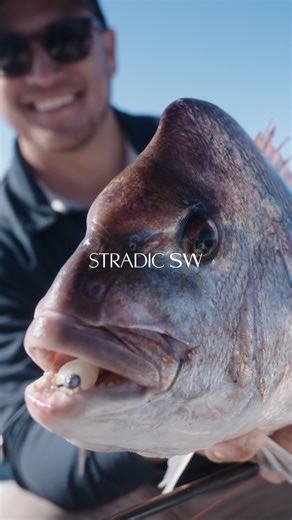 The Stradic SW: A True Saltwater Weapon! 🔥 Purpose-built for saltwater fishing in harsh conditions, the all-new Stradic SW features some of Shimano's top reel technologies like Infinity Drive, Hagane Gear and X-Protect! 🎥 Check out the full video on the Shimano Australia YouTube channel! @shimano.fish | BCF - Boating, Camping, Fishing
