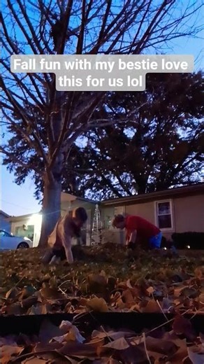 You and your bestie enjoying a leaf pile #Felix #funny #bestfriends