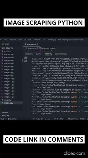 Image scraping using Python: Access images from webpage