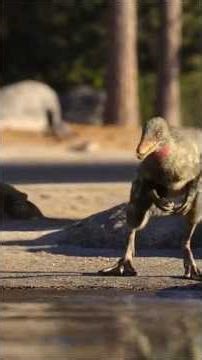 The dinosaurs 🦕 evolution #shorts #trending #dinosaur #doctor