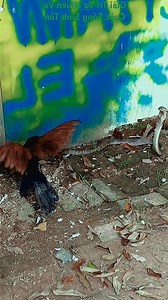 #livingroom #furniture #inredningsdetaljer #interiorrumah #sovrum #heminredning #kursi #design #r #luxury #interiors #inredningsinspiration #keanoputrameubel #deccor #meubelindonesia #almaripakaian #ektar #eksplorejogja #covid #mensfashion #furnituremurah #jepara #shabbychic #onlineshopmurah #keanomeubeljepar #matta #inspiration #home #skandinaviskahem | Julianna Santana