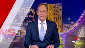 1.3K views · 15 reactions | Adelaide Zoo played host to a big birthday bash for its favourite black and white gentle giants. 7NEWS Adelaide at 6pm | www.7NEWS.com.au #7NEWS | 7NEWS Adelaide | Facebook