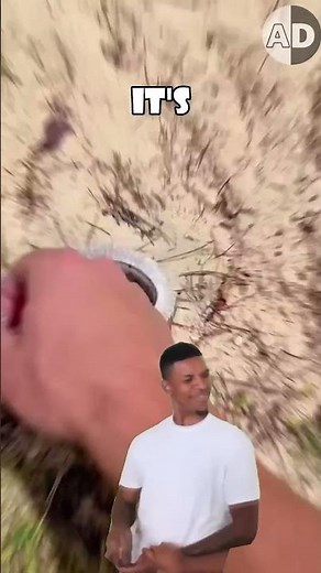 The Drama Queen of Snakes: Western Hognose's Death Performance!