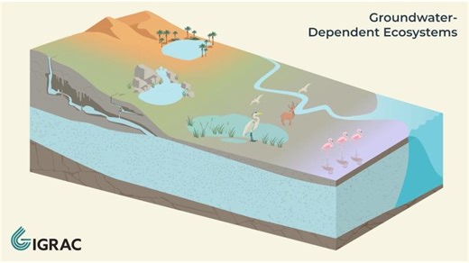 Groundwater Explained: Groundwater-Dependent Ecosystems | Aliagha Azizov Ph.D(c)