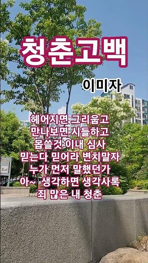 청춘고백 #이미자#남인수#트로트#1955 남인수ㆍ최고인기애창곡