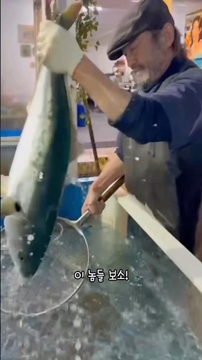 양양에서 회 제대로 먹고 싶다면… 이 집은 무조건 저장하세요‼#낙산바다회마을 #양양맛집 #낙산사맛집 #양양횟집 #양양대게 #현지인맛집 #강원도맛집 #양양여행 #모둠회맛집 #대게맛집