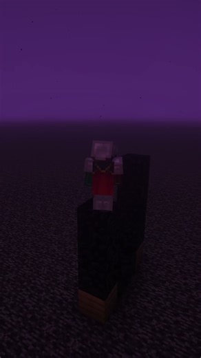 DON'T DO THIS ON THE NETHER ROOF