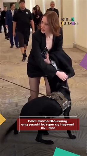 San’at Dunyosi on Instagram: "🐶Emma Stoun itlar yaxshi koʻrishini yashirmaydi Emma Stoun “Oskar” mukofoti nominantlari uchun tashkil etilgan tushlikda qatnashdi va u yerda iti bilan kelgan mehmonni koʻrib, uni erkalashga ruxsat soʻradi. 📌 Faktlar: • U intervyularida itlarni yaxshi ko‘rishini va ular bilan ishlashdan zavqlanishini aytgan. • 2012-yilda u qutqaruv itini asrab olgani haqida xabarlar chiqqan. • Emma Stone boshpanadagi kuchuklarni asrab olishni targ‘ib qilgan va hayvonlarga mehr bil