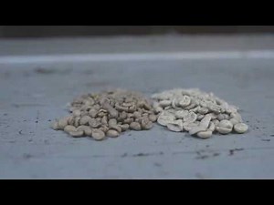 Carbon and the Swiss Water® Process